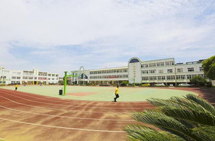 寫北侖區(qū)實驗小學校園作文