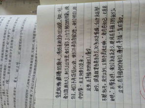 介紹自己校園的特點作文600字作文