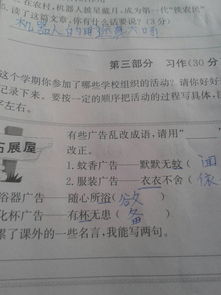 三級(jí)校園有趣活動(dòng)作文大全