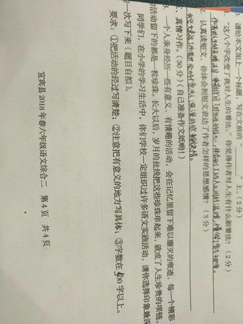 作文校園一次有趣語文實(shí)踐活動(dòng)作文500字