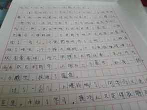 平安,作文,小學生,校園