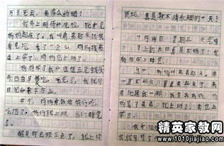 關于校園觀察日記50字作文