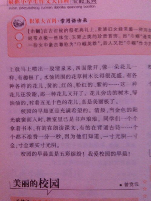 寫校園的新聞報(bào)道作文200字