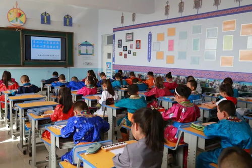 我們的校園生活豐富多彩作文300字,我們的校園生活豐富多彩作文三年級,多彩的校園生活600字作文