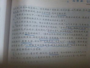 你寫一篇校園的風景的作文150字左右