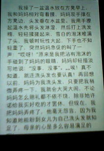 我的校園作文三級(jí)中300字作文怎么寫