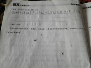三級(jí)夏天的校園150字作文怎么寫