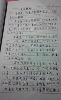 校園內(nèi)發(fā)生的關于愛的作文三百字