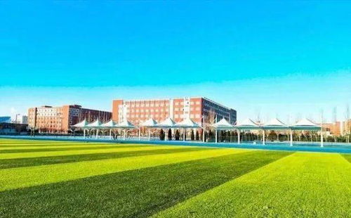 多姿多彩的校園生活大學(xué)作文