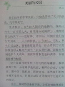 大學校園那些事作文600字