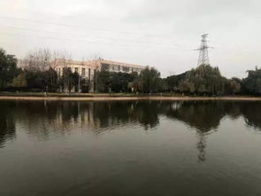 校園里一道靚麗的風(fēng)景線(xiàn),校園里一道美麗的風(fēng)景線(xiàn),煞是校園內(nèi)一道靚麗的風(fēng)景線(xiàn)