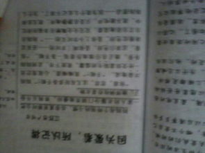 以校園欺凌為主題的作文,以校園安全為主題的作文,以平安校園為主題的作文