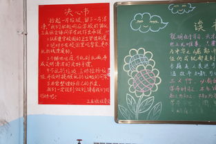 小學(xué)生保護(hù)校園環(huán)境衛(wèi)生作文