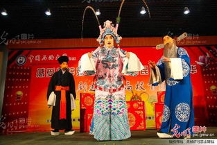 京劇進(jìn)校園活動作文