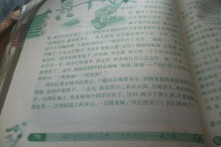 描寫校園運動的作文