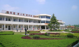 校園真美麗怎么寫作文