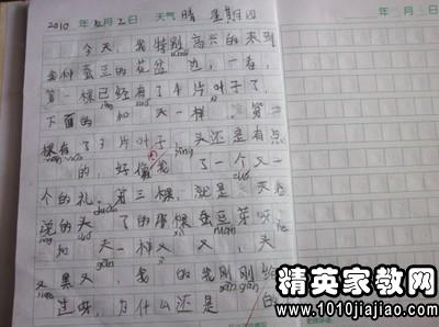 愛(ài)護(hù)地球綠化校園作文450字