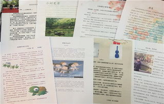 校園里精彩的活動(dòng)作文怎么寫