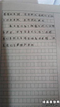 難忘的校園奧運會作文