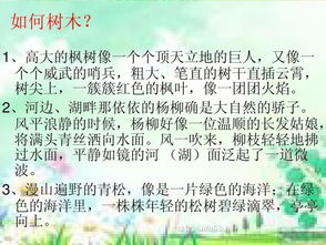 春天校園里的一處景色作文三級(jí)作文三級(jí)