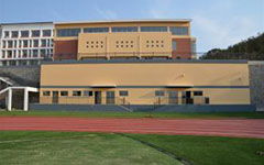 我與新校園作文