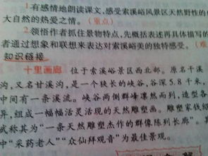 作文,生態(tài),校園,設(shè)計