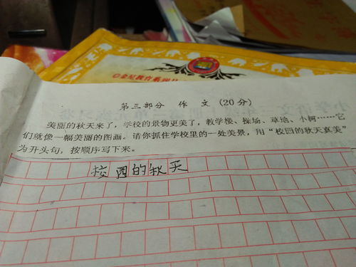 秋雨中的校園三級(jí)作文
