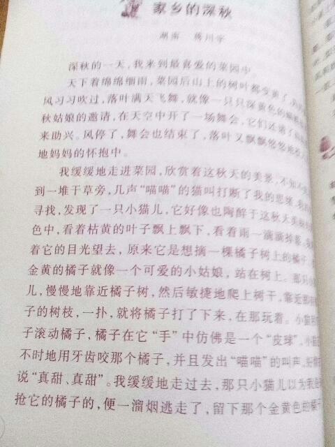 校園的教師風景線作文600字