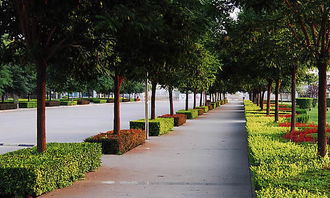 高中新校園印象作文600字