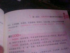 我愛(ài)我的校園作文三百個(gè)字左右作文