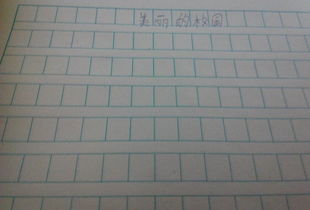 用細(xì)致我們美麗的校園作文300字