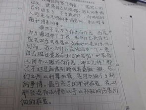 作文,中國(guó),高中,足球