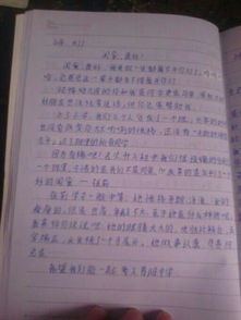 新的同學新的校園作文600字