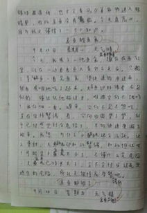 大咖進校園作文350字