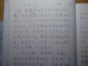 校園作文移步換景,我的校園移步換景作文400字,用移步換景寫(xiě)校園的作文