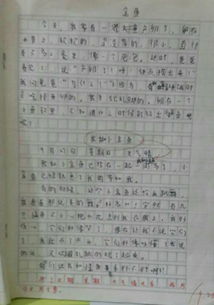 校園一角作文350字四年級(jí),校園一角的作文350字左右,寫校園一角作文350字