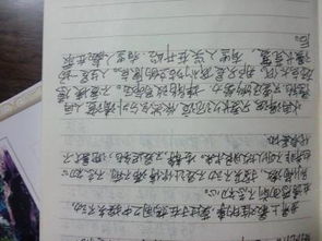 以校園暴力為主題寫一篇作文800字作文