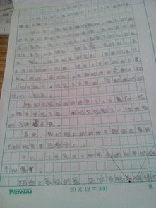 校園運動會作文600字八級