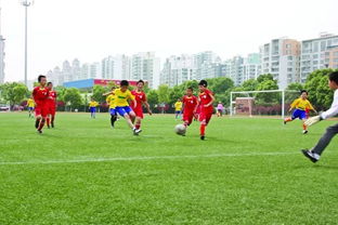 作文校園足球賽500字