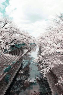 作文,師生,親情,校園