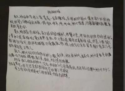 描寫校園學(xué)生的作文