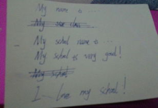 介紹我的中學(xué)校園作文