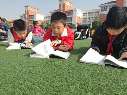 四級作文沐浴書海書香校園