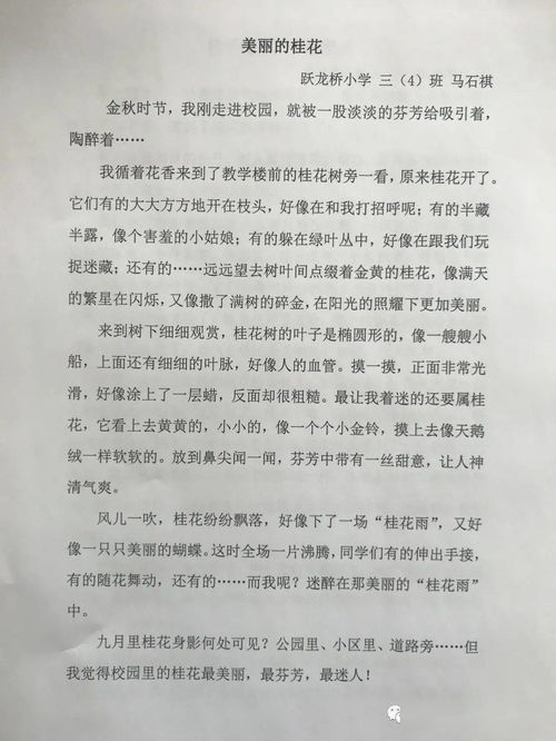 與校園共成長的作文