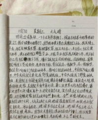 安全故事安全進校園的內容寫作文