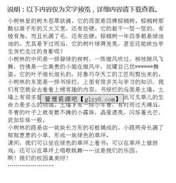 校園一角作文400字操場4級