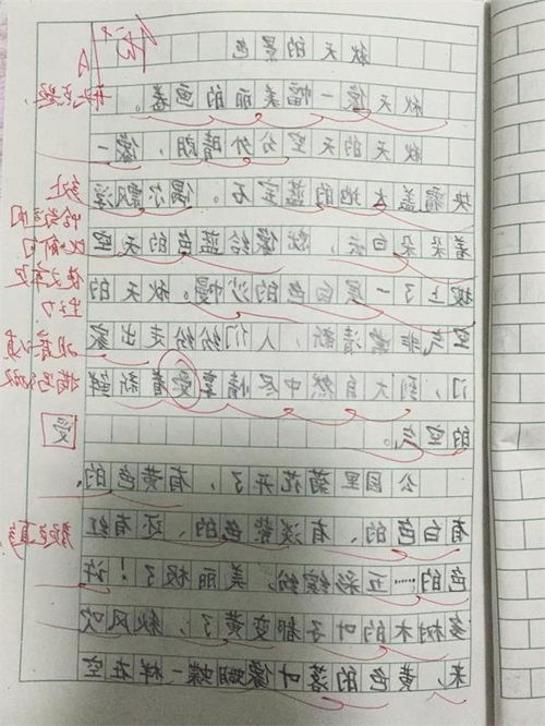小學三級關于校園風景的作文怎么寫