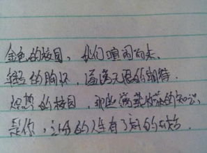 歌頌校園詩歌小學(xué)作文