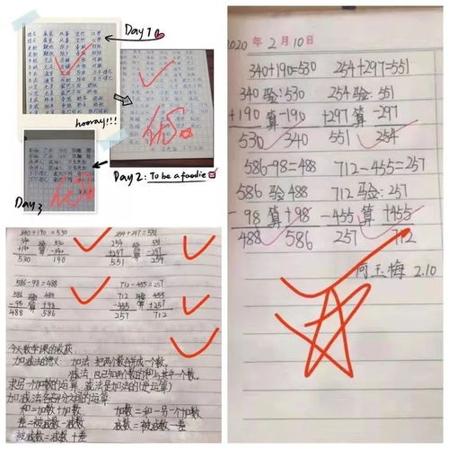 寫安陽(yáng)第一實(shí)驗(yàn)小學(xué)校園的作文