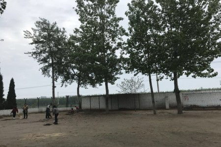 共建和諧校園作文,共建平安和諧校園作文,預(yù)防校園暴力,共建和諧校園作文800字